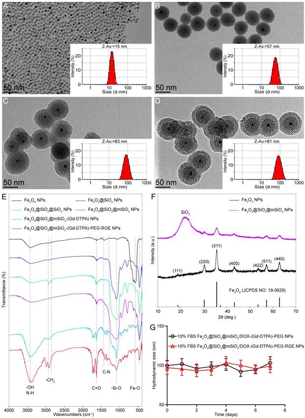 Theranostics Image