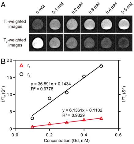 Theranostics Image