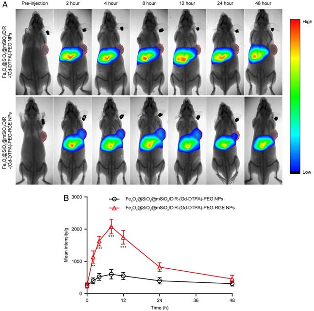 Theranostics Image