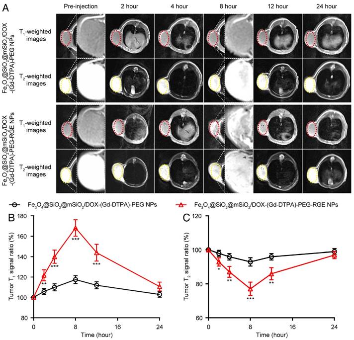 Theranostics Image