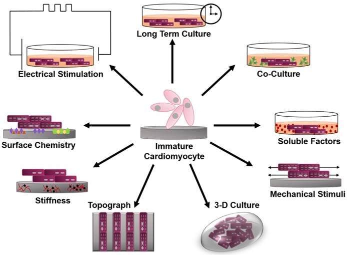 Theranostics Image