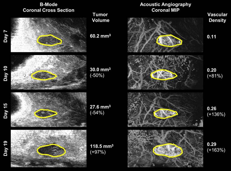 Theranostics Image