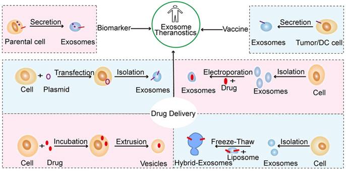 Theranostics Image