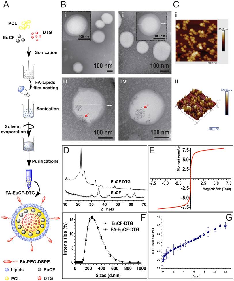 Theranostics Image