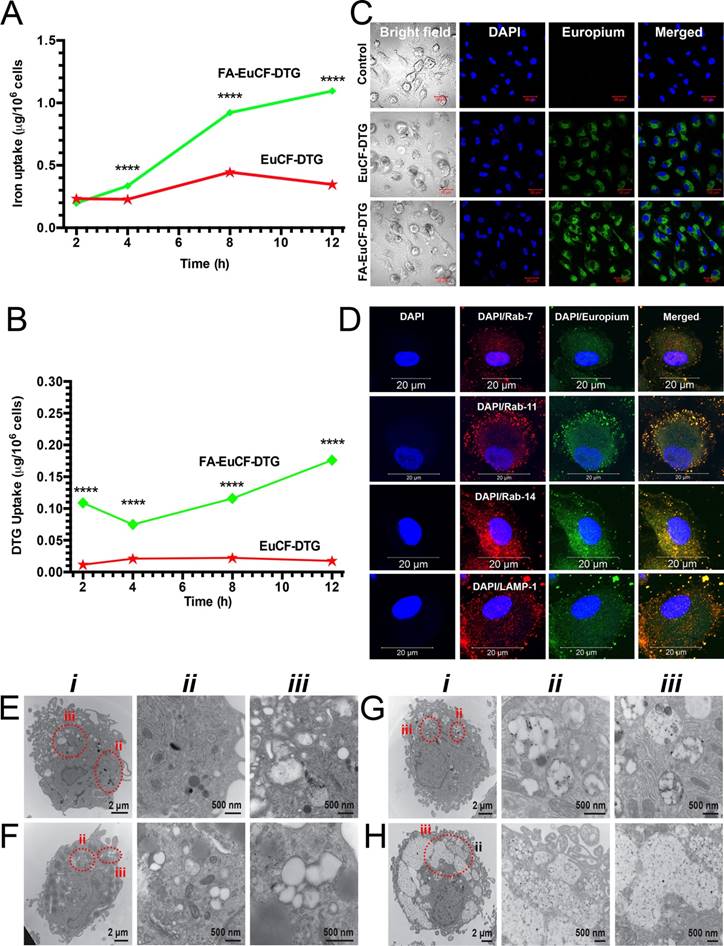 Theranostics Image