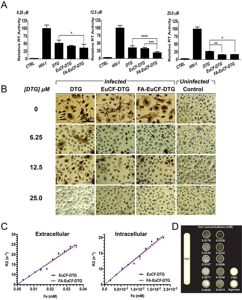 Theranostics Image