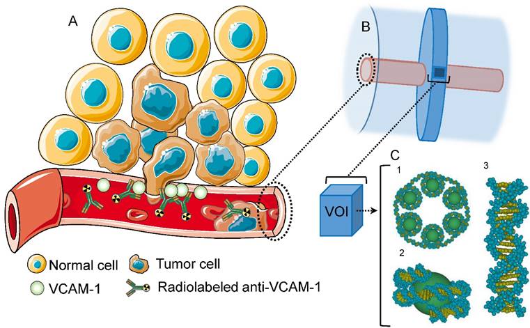 Theranostics Image