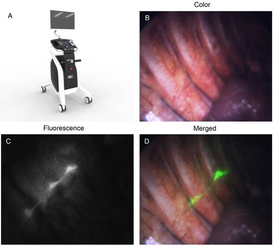 Theranostics Image