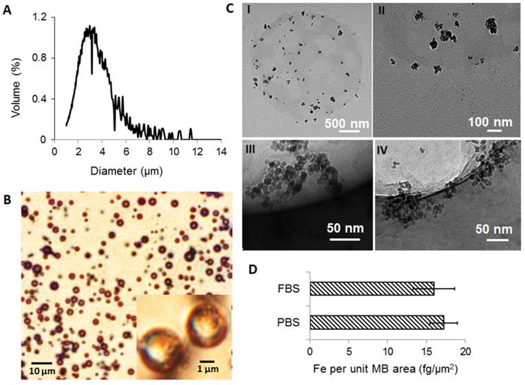 Theranostics Image