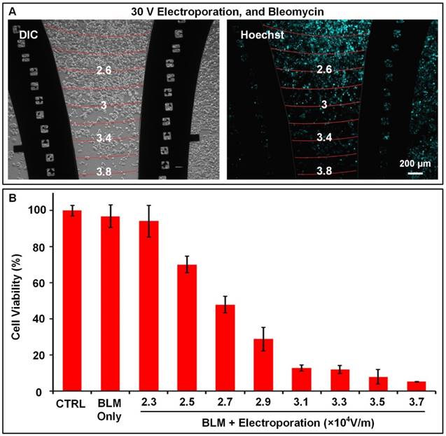 Theranostics Image