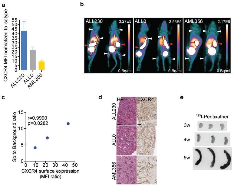 Theranostics Image