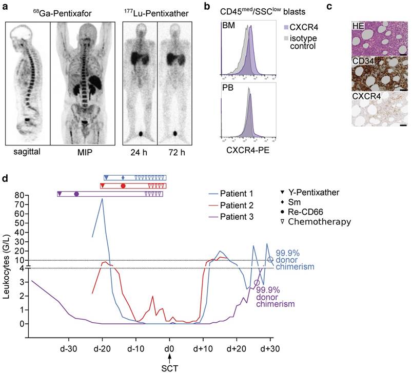 Theranostics Image