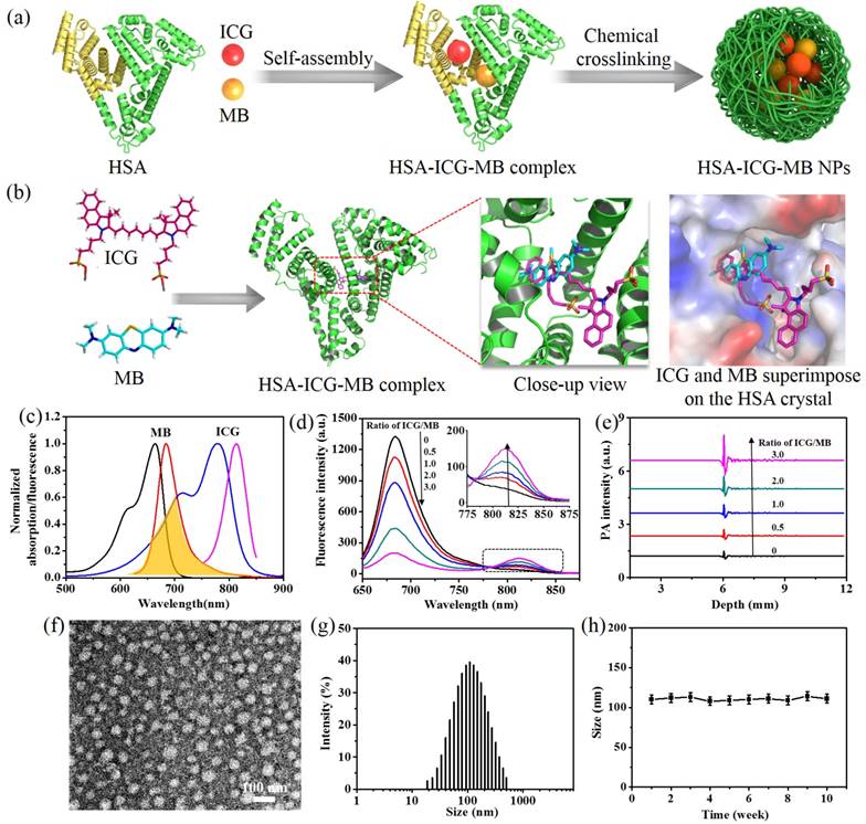 Theranostics Image