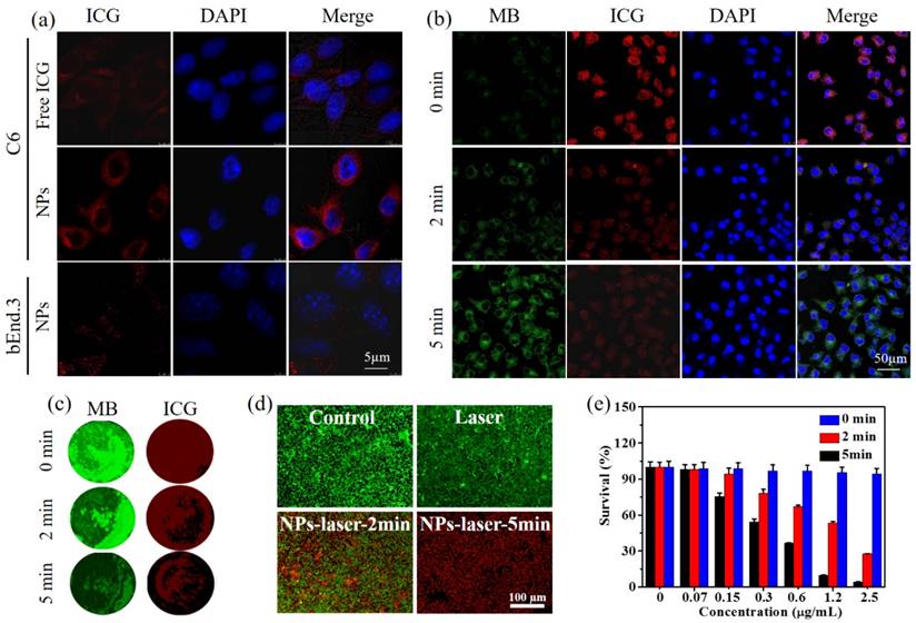 Theranostics Image