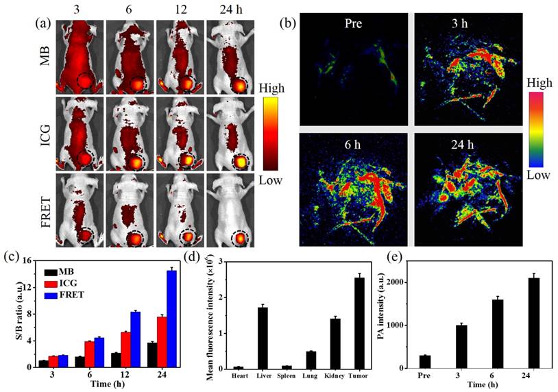 Theranostics Image