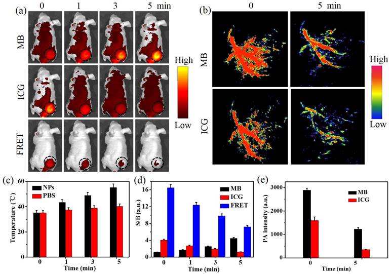 Theranostics Image