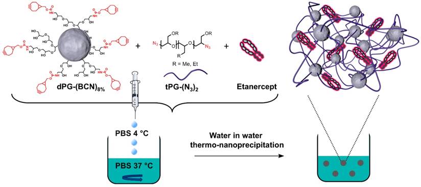 Theranostics Image