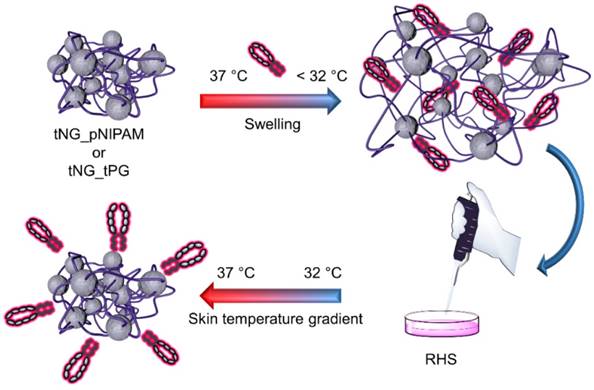 Theranostics Image