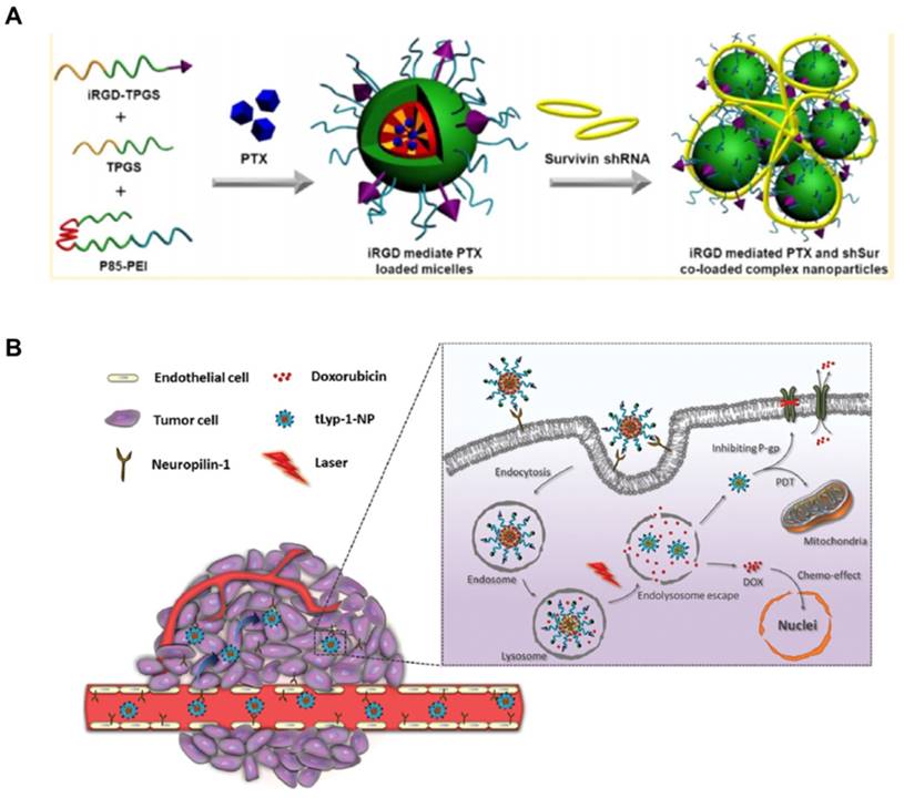 Theranostics Image