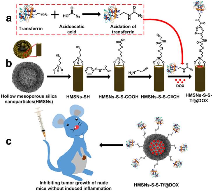 Theranostics Image