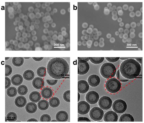 Theranostics Image