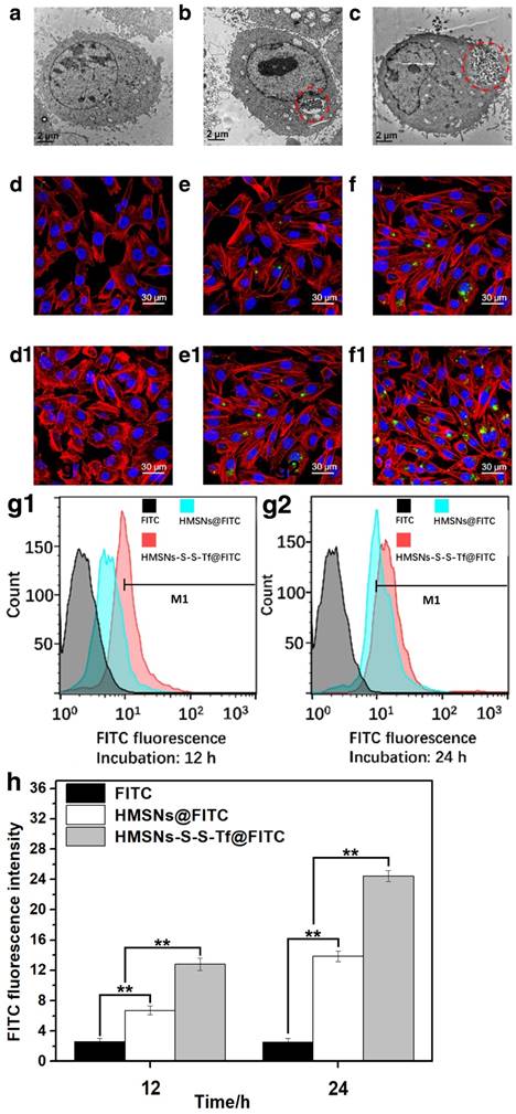 Theranostics Image