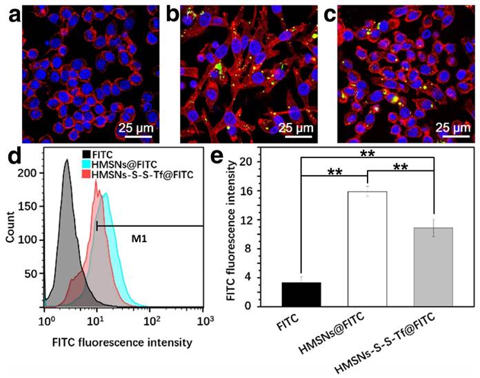 Theranostics Image