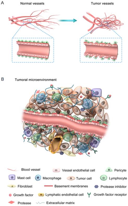 Theranostics Image