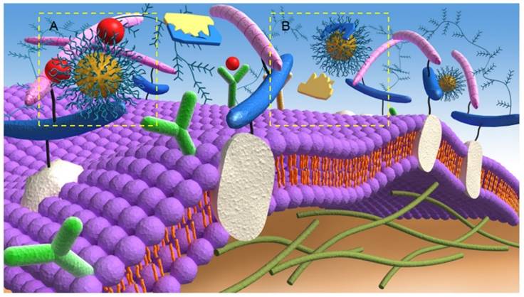 Theranostics Image