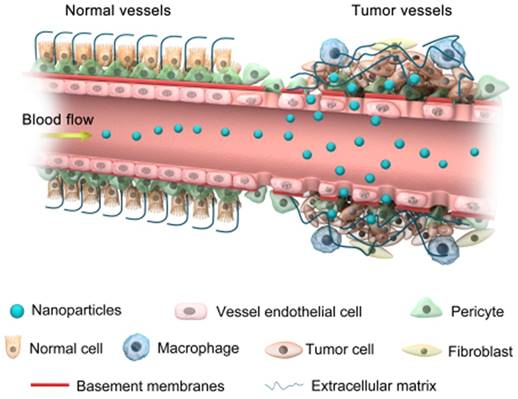 Theranostics Image