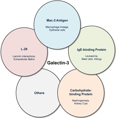 Theranostics Image