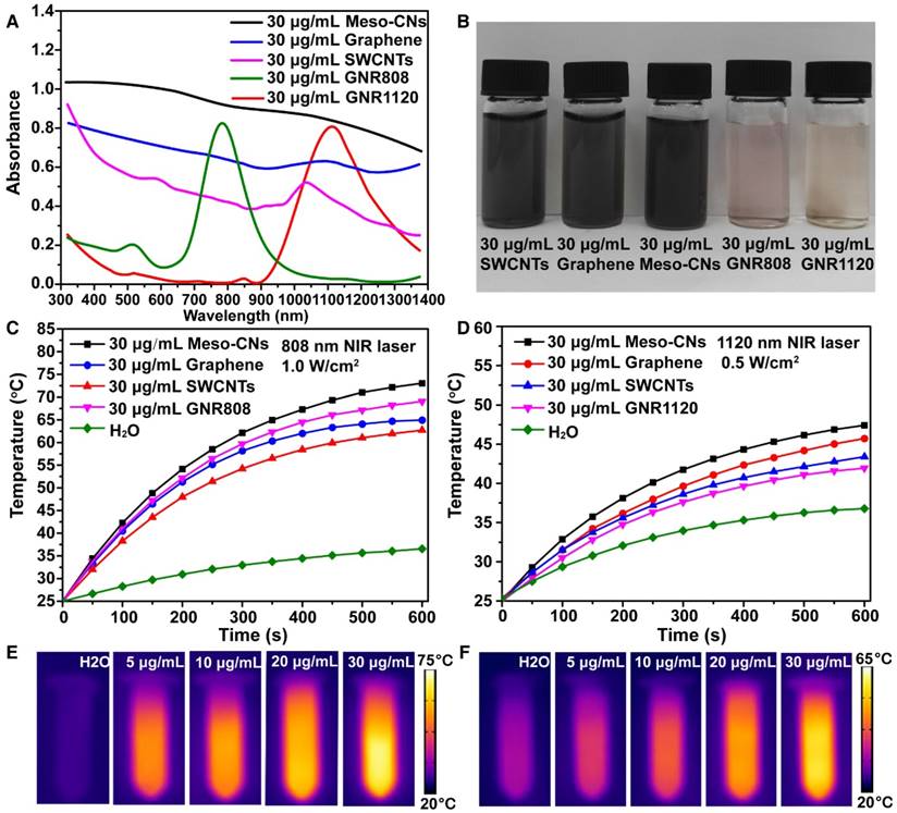 Theranostics Image