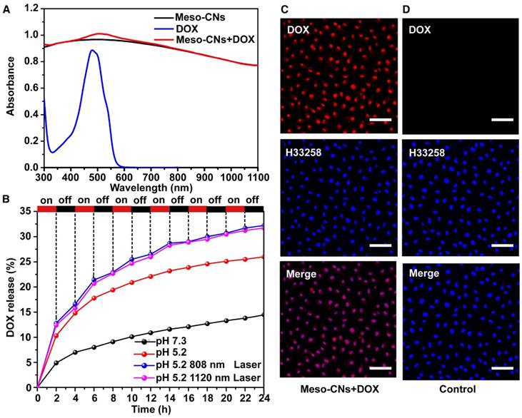 Theranostics Image