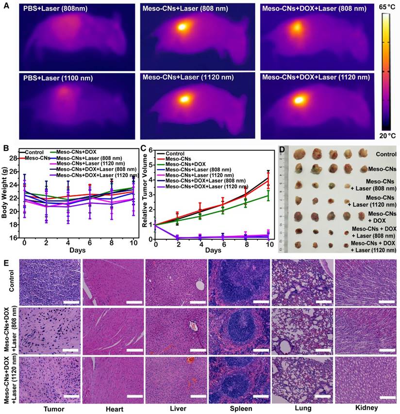 Theranostics Image