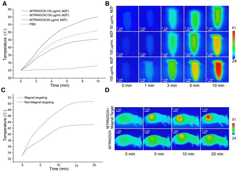 Theranostics Image