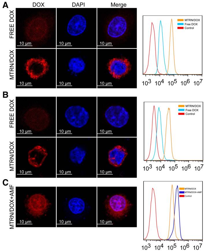 Theranostics Image