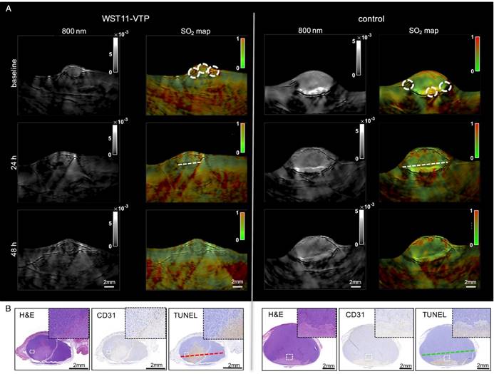 Theranostics Image