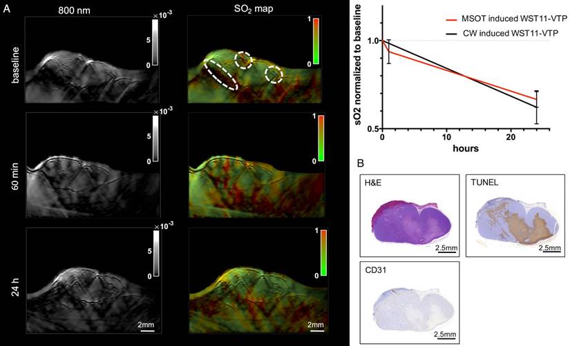 Theranostics Image