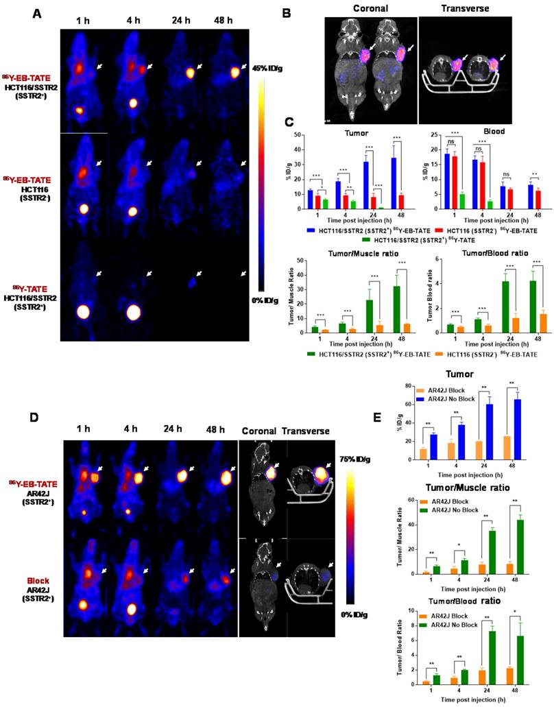 Theranostics Image