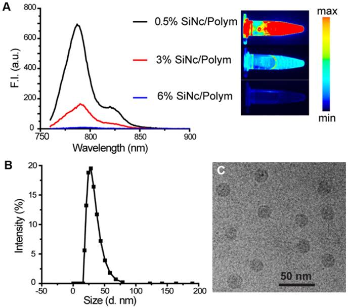 Theranostics Image