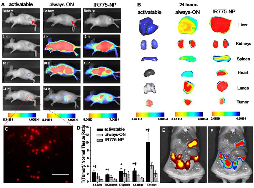 Theranostics Image