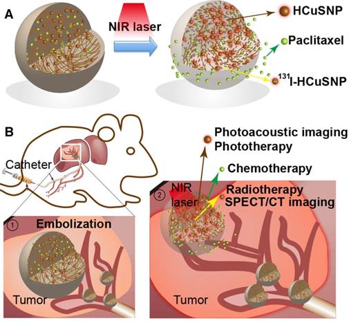 Theranostics Image