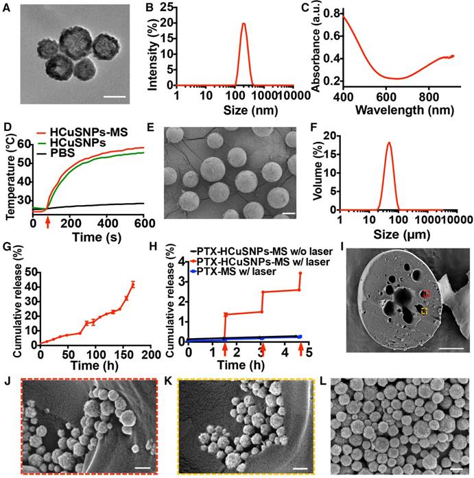 Theranostics Image