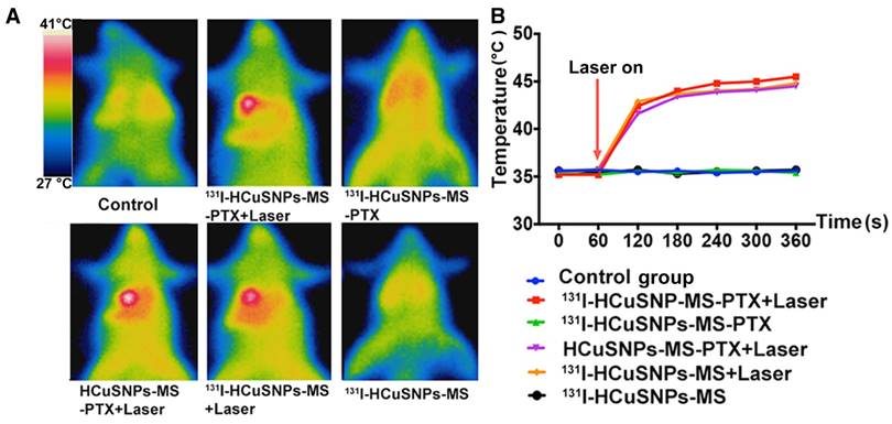 Theranostics Image