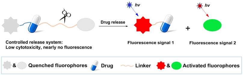 Theranostics Image