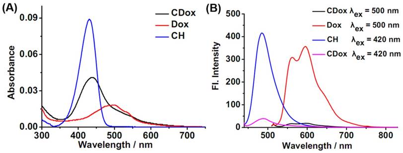 Theranostics Image