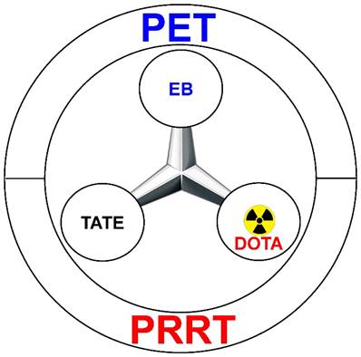 Theranostics Image