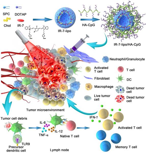 Theranostics Image