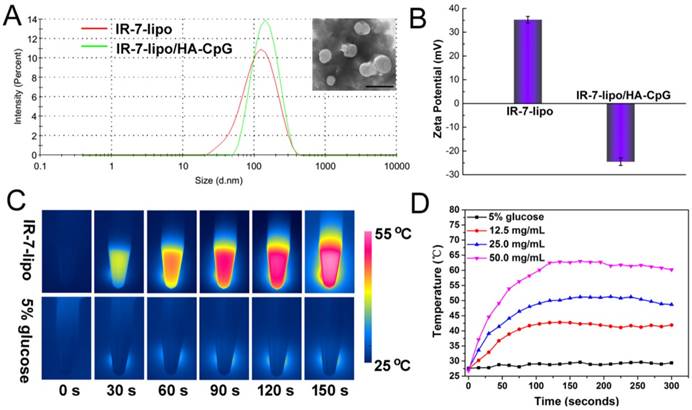 Theranostics Image