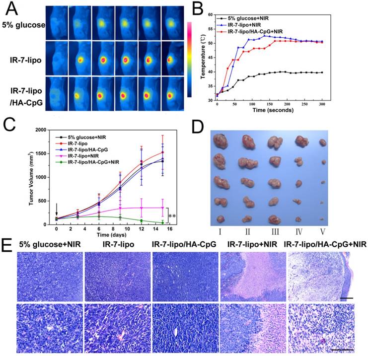 Theranostics Image